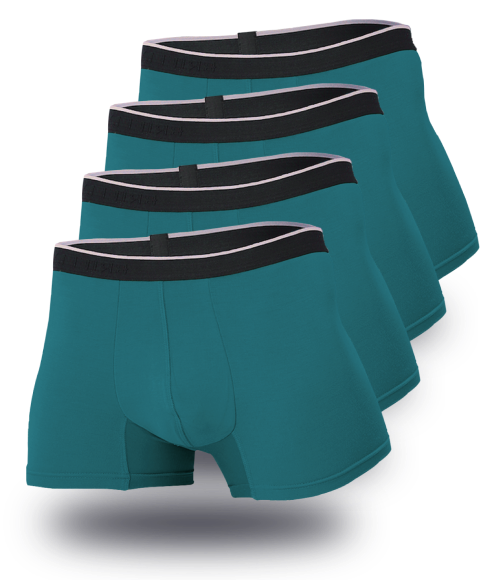 Bamboo Short Trunks 4 Pack